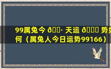 99属兔今 🌷 天运 🐟 势如何（属兔人今日运势99166）